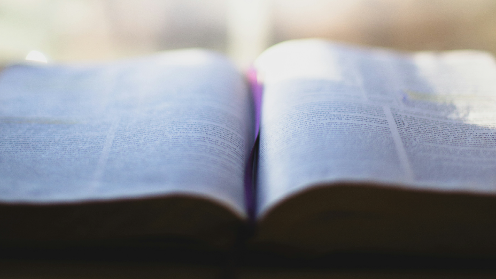 Stamped with a Purpose: Feeding of the 5000